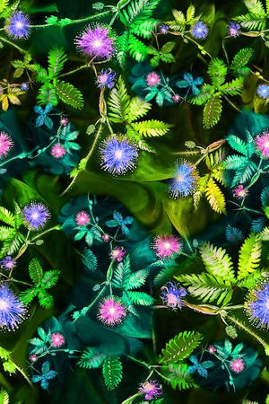 数码★花卉图案印花华亿平台图片