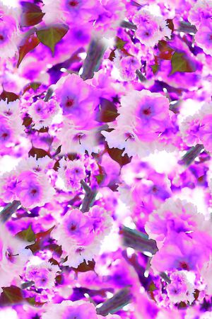 数码★花卉图案印花华亿平台图片