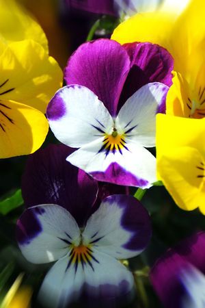 印花华亿平台图片