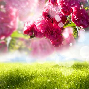 印花华亿平台图片