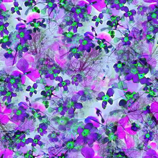 印花华亿平台图片