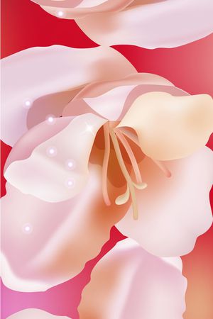 长巾印花华亿平台图片