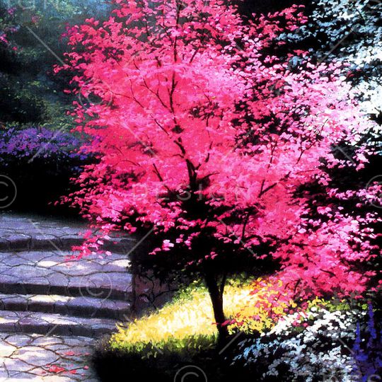 印花华亿平台图片