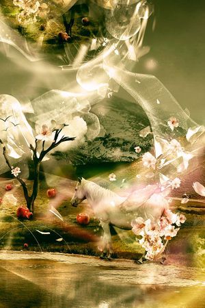 印花华亿平台图片