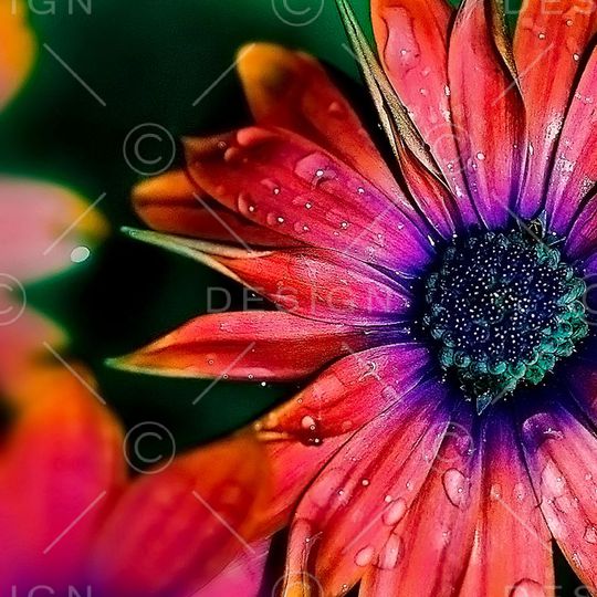 印花华亿平台图片