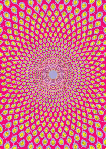 312721-绽放的美丽-1