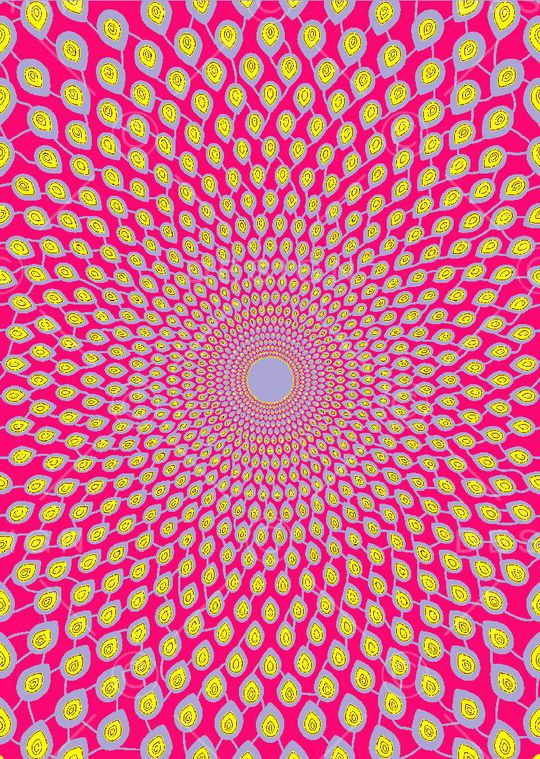 女装印花华亿平台图片