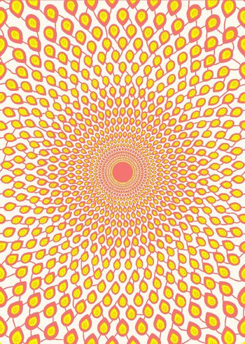 312722-绽放的美丽-1