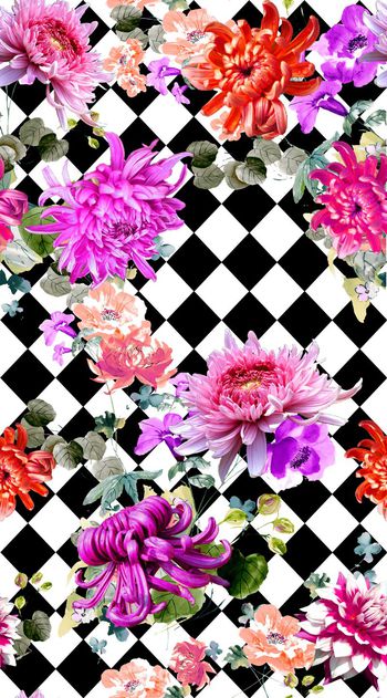 312726-中国风满版数码菊花