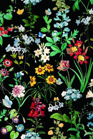 S-艺术花卉/Art印花华亿平台图片