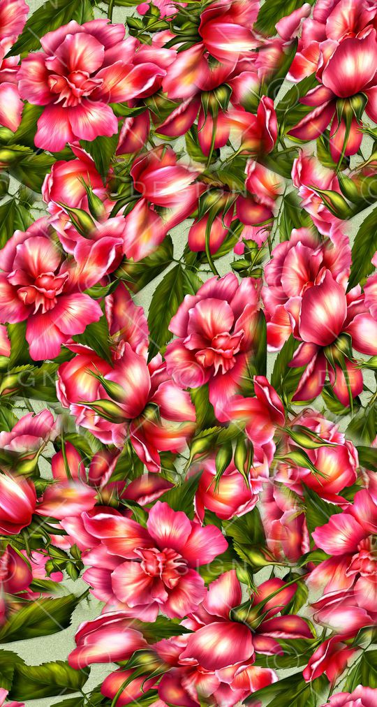 打折华亿平台印花华亿平台图片