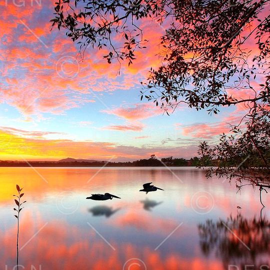 印花华亿平台图片