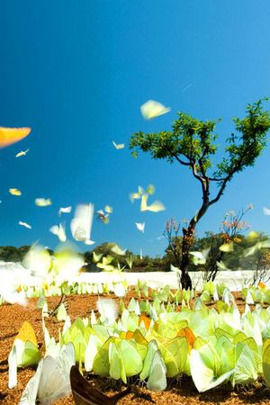 印花华亿平台图片