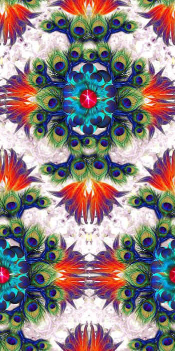 313494-复古欧式宫廷风对称动物纹孔雀羽毛欧