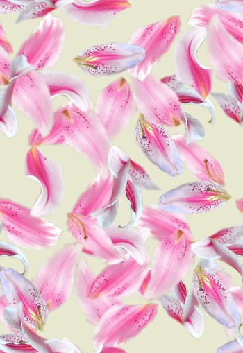 314066-清新淡雅百合花瓣花卉排列满布印花花