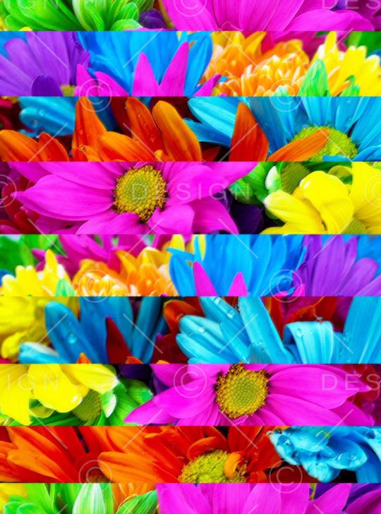 G-几何印象/Geometry印花华亿平台图片