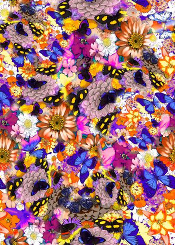 314961-多彩花卉蝴蝶组合