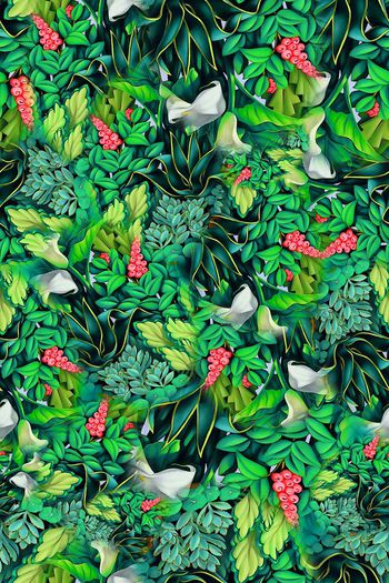 315046-热带花卉花朵组合