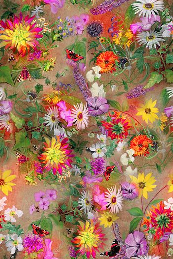 315116-多彩油画花朵花卉组合