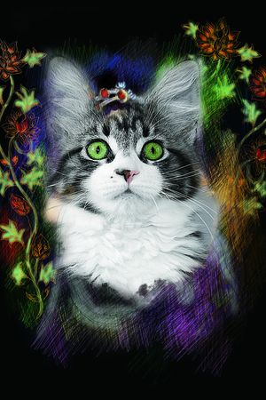 印花华亿平台图片