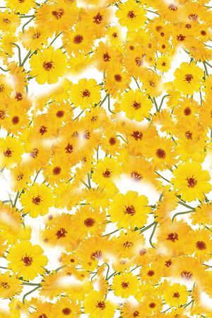 小清新印花华亿平台图片