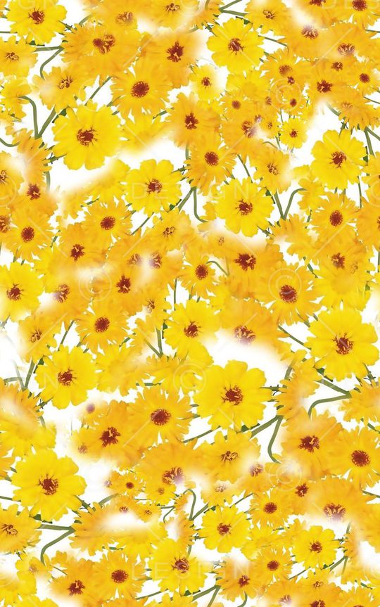 小清新印花华亿平台图片