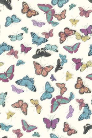 蝴蝶结印花华亿平台图片