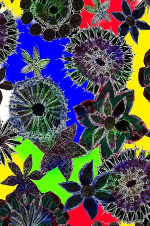 印花华亿平台图片