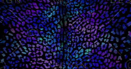 动物、花鸟、皮毛类印花华亿平台图片