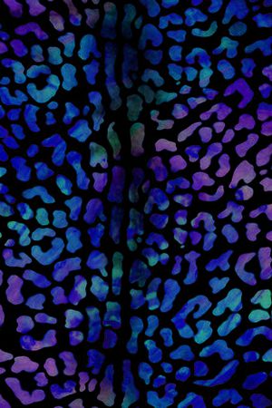 动物、花鸟、皮毛类印花华亿平台图片