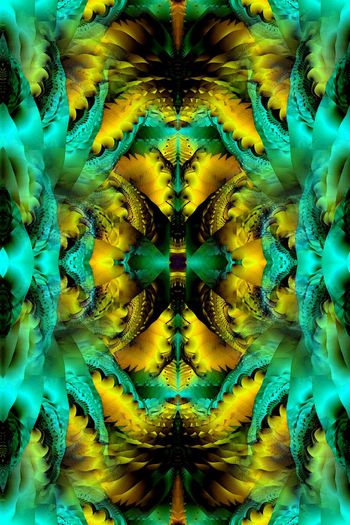 317776-镜像花纹 抽象分形艺术-1