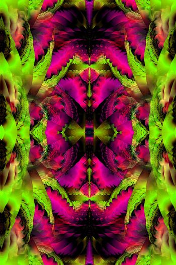 317784-镜像花纹 抽象分形艺术-1