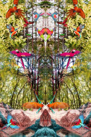 休闲印花华亿平台图片