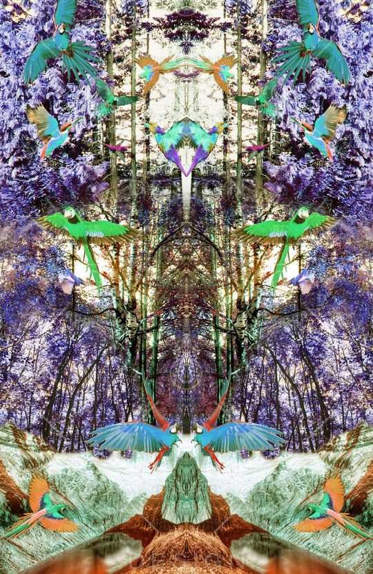 休闲印花华亿平台图片