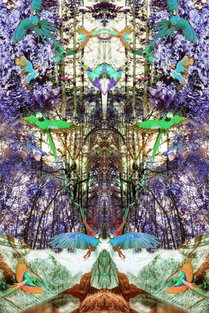 休闲印花华亿平台图片