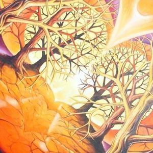 印花华亿平台图片