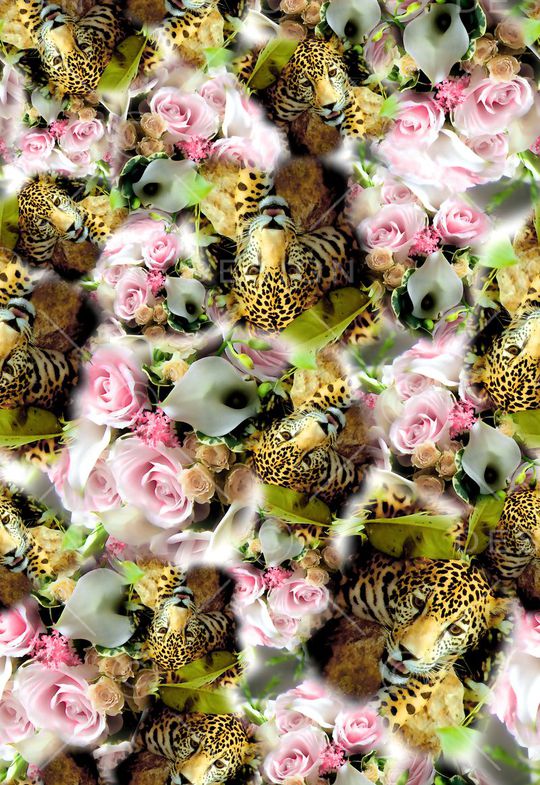 数码★动物类印花华亿平台图片