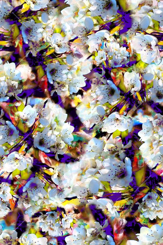 数码★花卉图案印花华亿平台图片