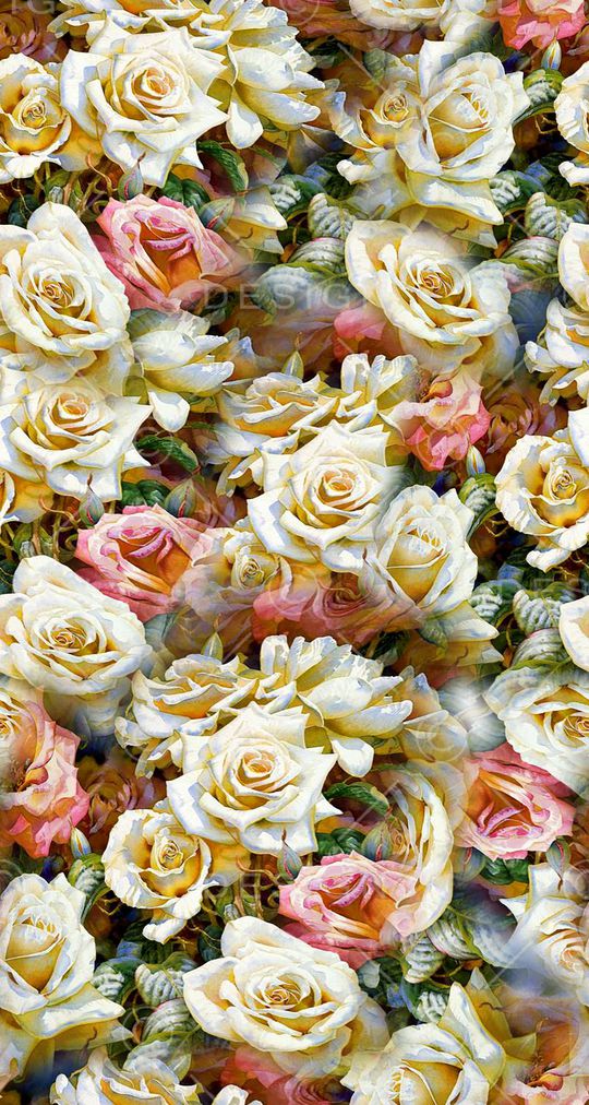 打折华亿平台印花华亿平台图片