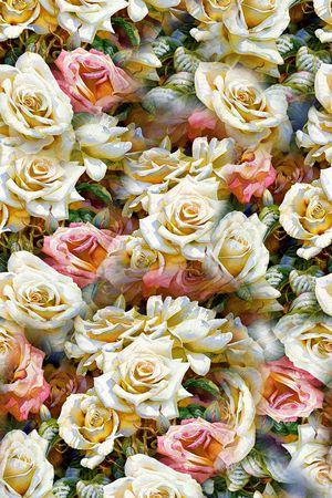 打折华亿平台印花华亿平台图片