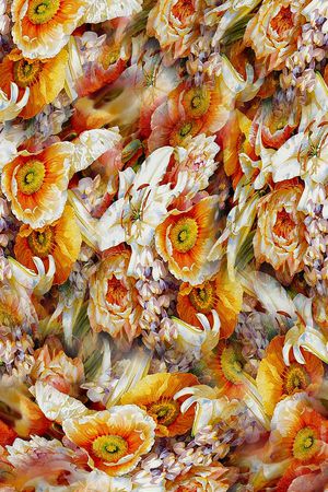 打折华亿平台印花华亿平台图片