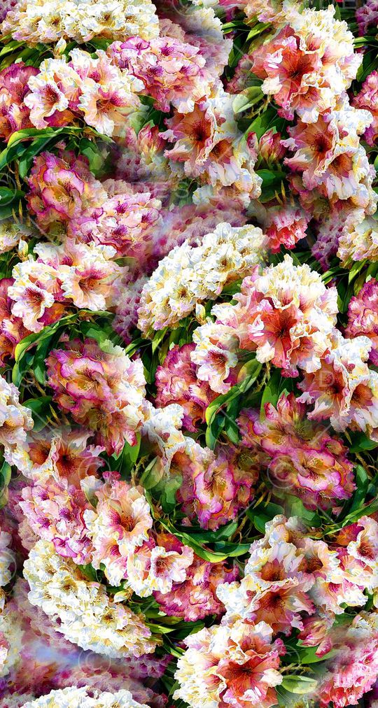 打折华亿平台印花华亿平台图片