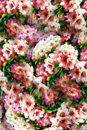 打折华亿平台印花华亿平台图片