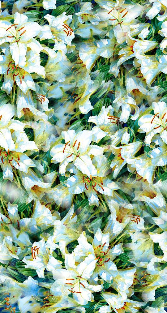 打折华亿平台印花华亿平台图片