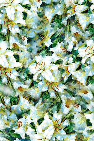 打折华亿平台印花华亿平台图片