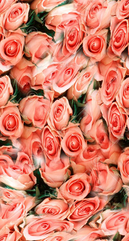 打折华亿平台印花华亿平台图片