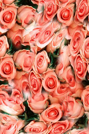 打折华亿平台印花华亿平台图片