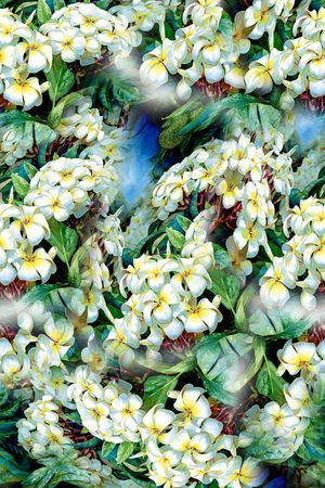 打折华亿平台印花华亿平台图片