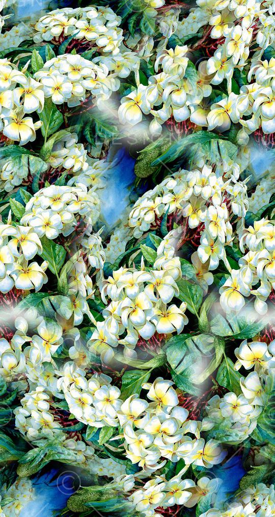 打折华亿平台印花华亿平台图片