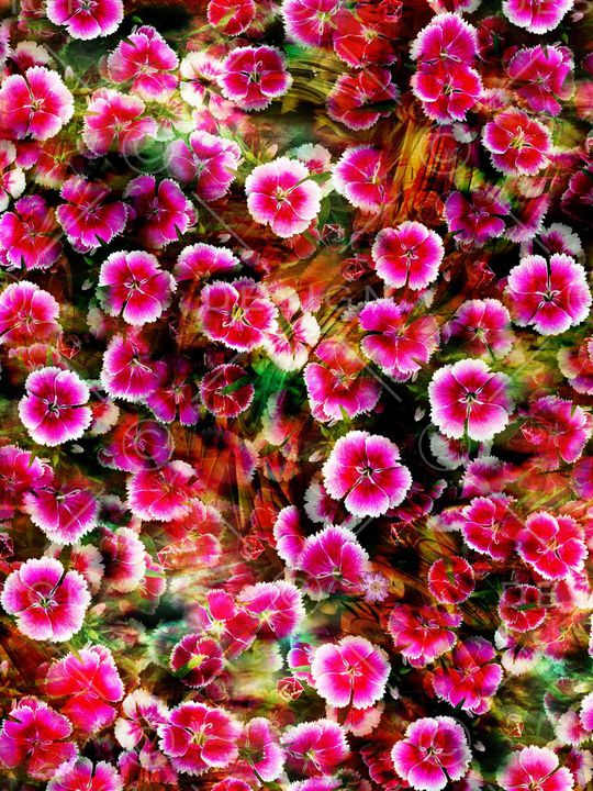 简洁印花华亿平台图片